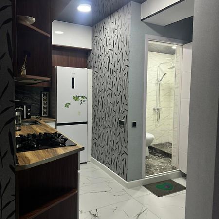 New Apartments In Borjomi Εξωτερικό φωτογραφία
